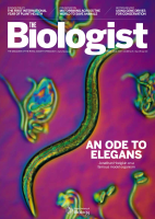 2020 01 01 The Biologist.pdf